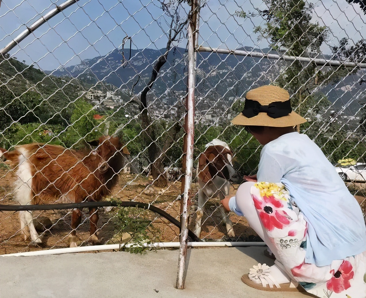 济南适合遛娃的免费去处,济南冬季遛娃免费攻略