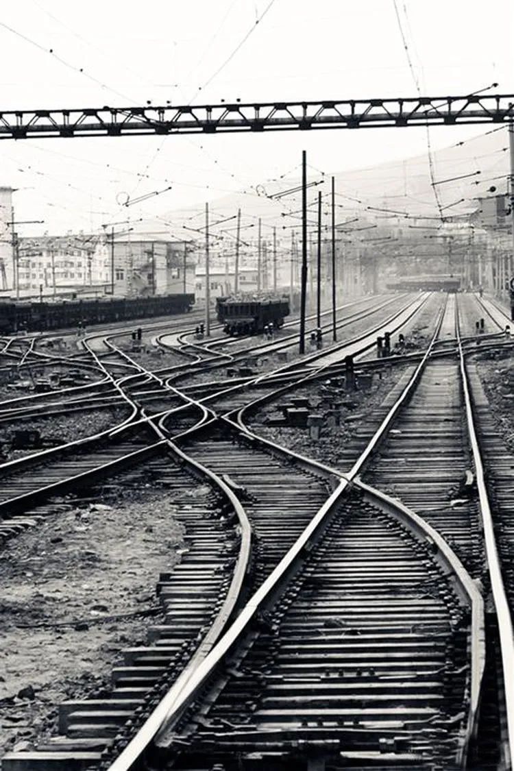 怎么可以使照片的各个色彩更鲜艳,让照片局部色彩艳丽又不失真