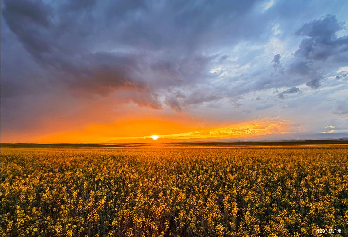 1亿像素手机到底值不值,1亿像素的手机是假的吗