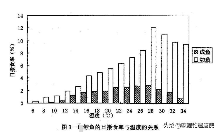 夏季下雨过后钓鱼应如何选择钓位,夏季垂钓这3个钓位上鱼超多