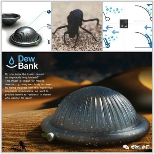 沙漠求生取水技巧,生存狂逃生技巧