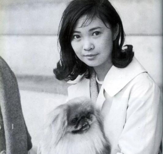 出生在香港的明星,八位内地香港金像奖影后