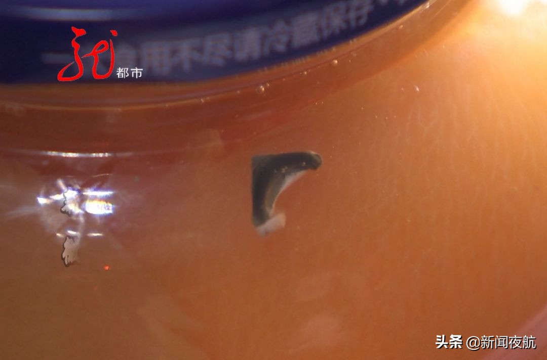 真心罐头最新消息,真心罐头吃到虫子怎么赔偿