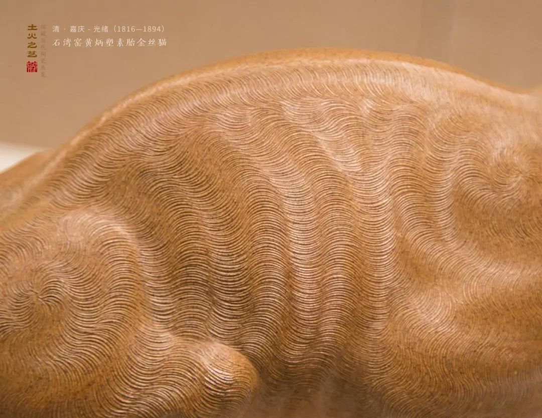 无缘去博物馆看*物文**,那就在这里看吧