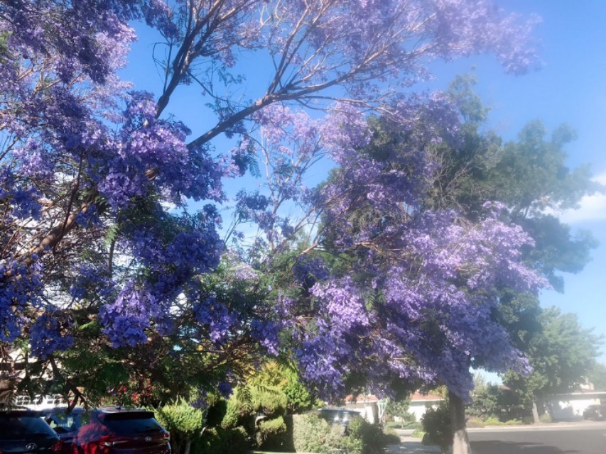 大学同学在美国,大学里的同学生活视频