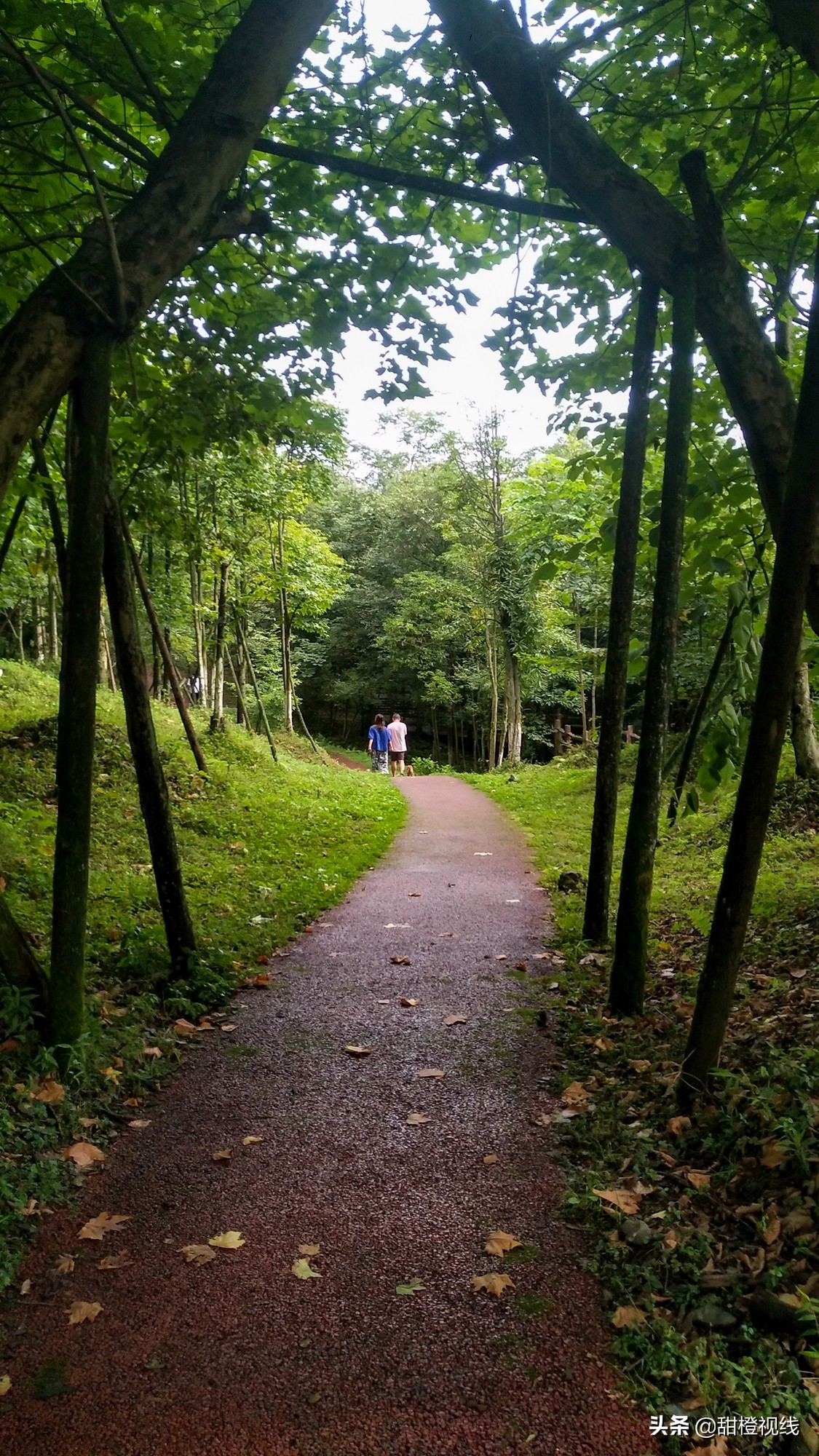 峨眉山七里坪周边有什么景点,峨眉半山七里坪网红打卡地