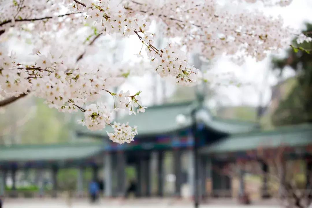 人大硕士值得上吗,人大硕士的难度