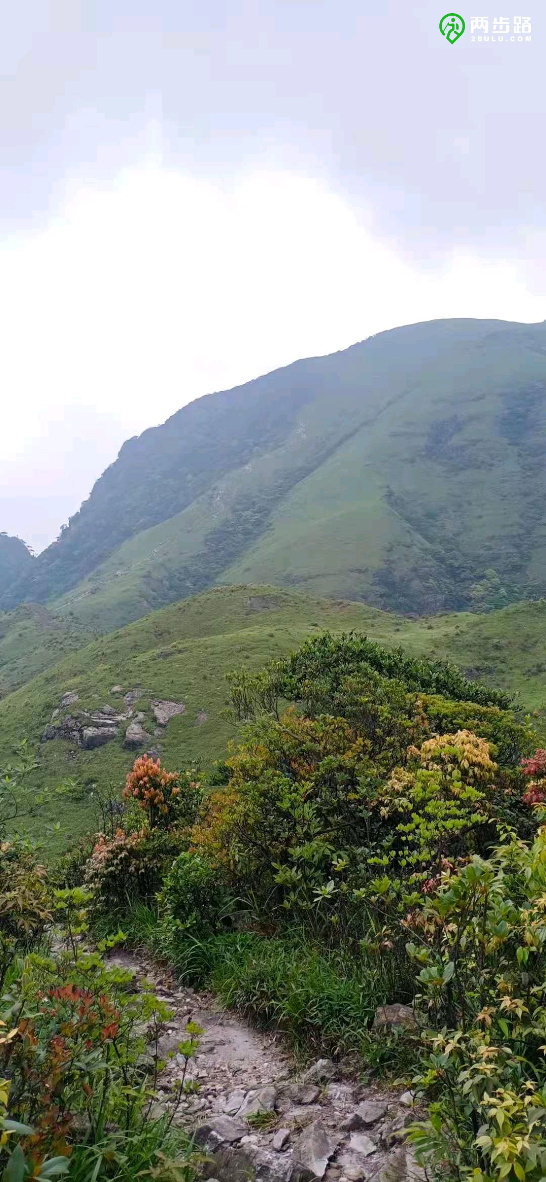 二天三夜邮轮游,两天三夜的海上旅行