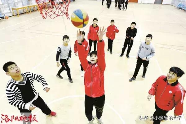 十六个好消息,洛阳旅游规划最新消息