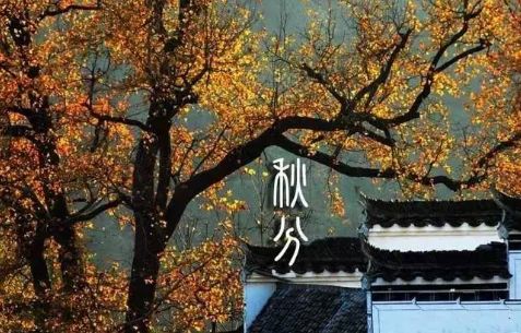 10首秋分诗词窥见古人的秋分时节,最经典的十首秋分诗词大全