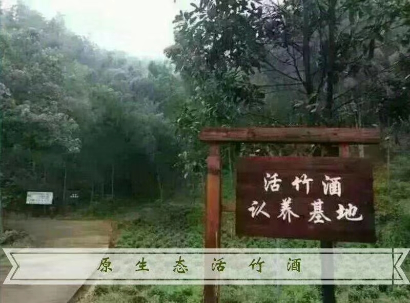 绿韵泉竹酒图片,绿韵泉活竹酒洛宁