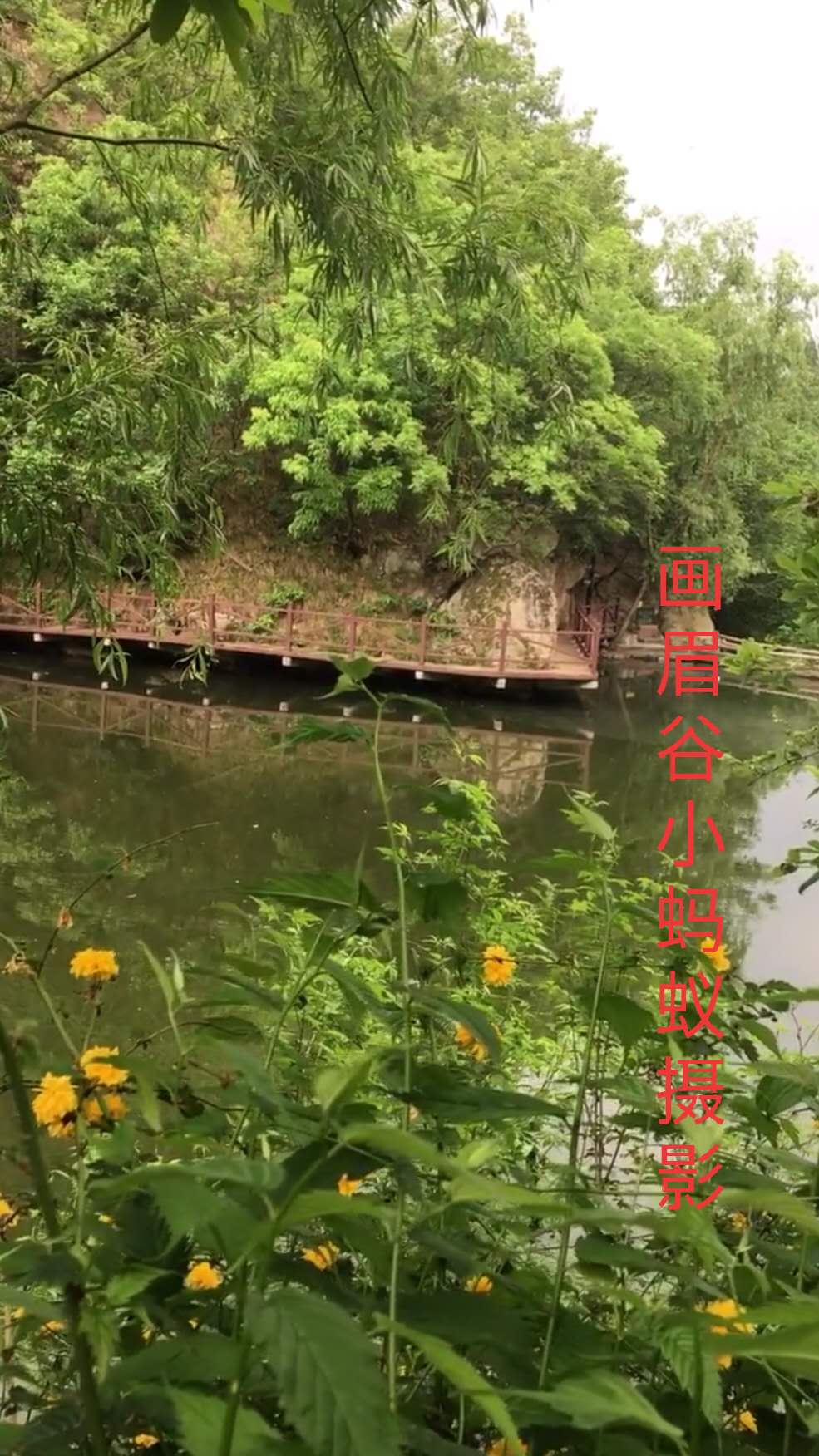 鲁山画眉谷郏县旅游景点推荐,平顶山鲁山风景区旅游攻略