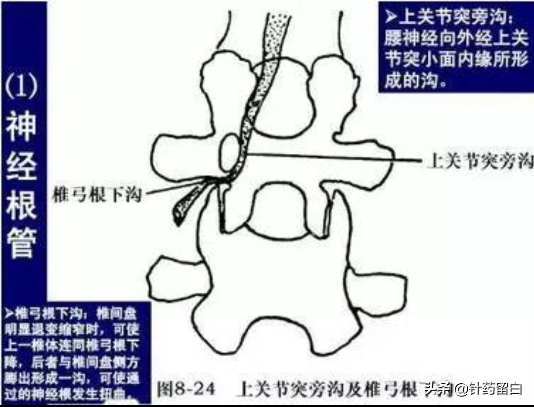 一文读懂靶向治疗,一文看懂椎体成形
