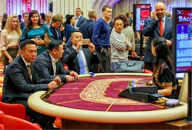 你永远也战胜不了凯利公式,凯利公式解释赌博为什么会输