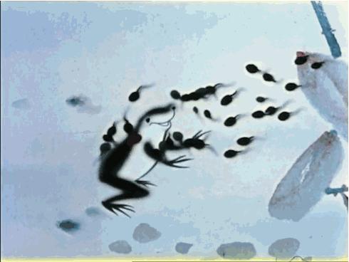 适合3-6岁儿童看的动画推荐,适合小朋友的国产经典动画