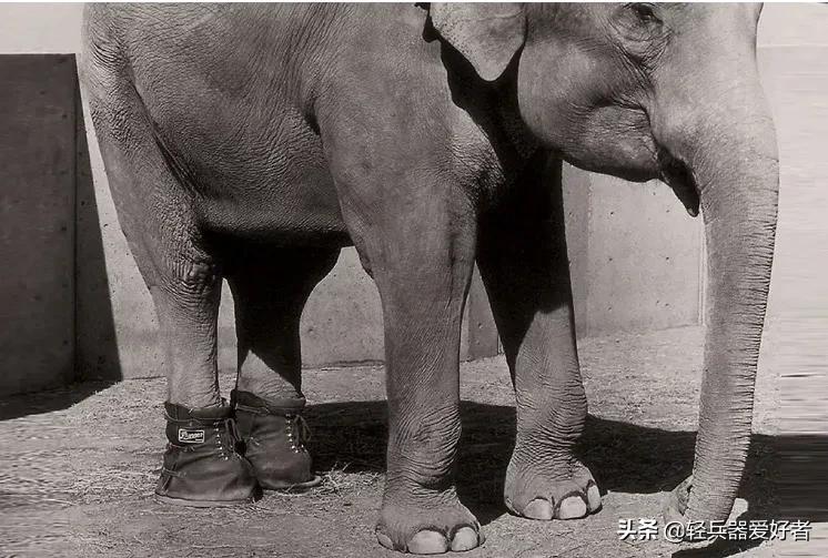 Danner,再也不想当劳保了!在潮流中找寻超脱的自我