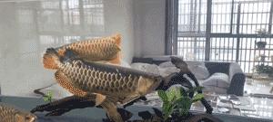 分享创富最佳方法,分享快速致富好项目