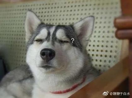 戴牙套前后对比图,体验戴牙套