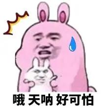 奇闻异事女子怀孕4年,奇闻怪事女子怀孕4年