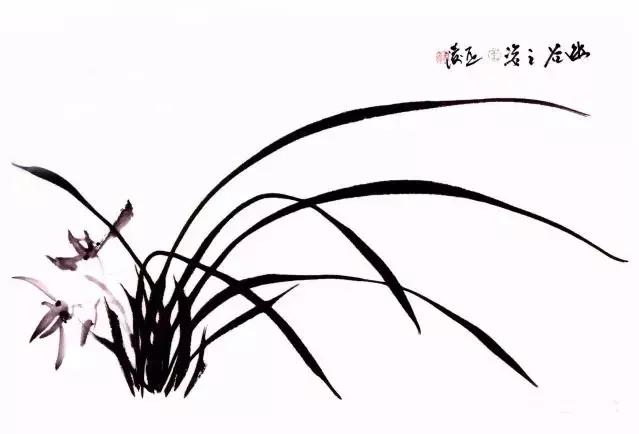 兰花绘画技法教程视频,泰国兰花绘画技法