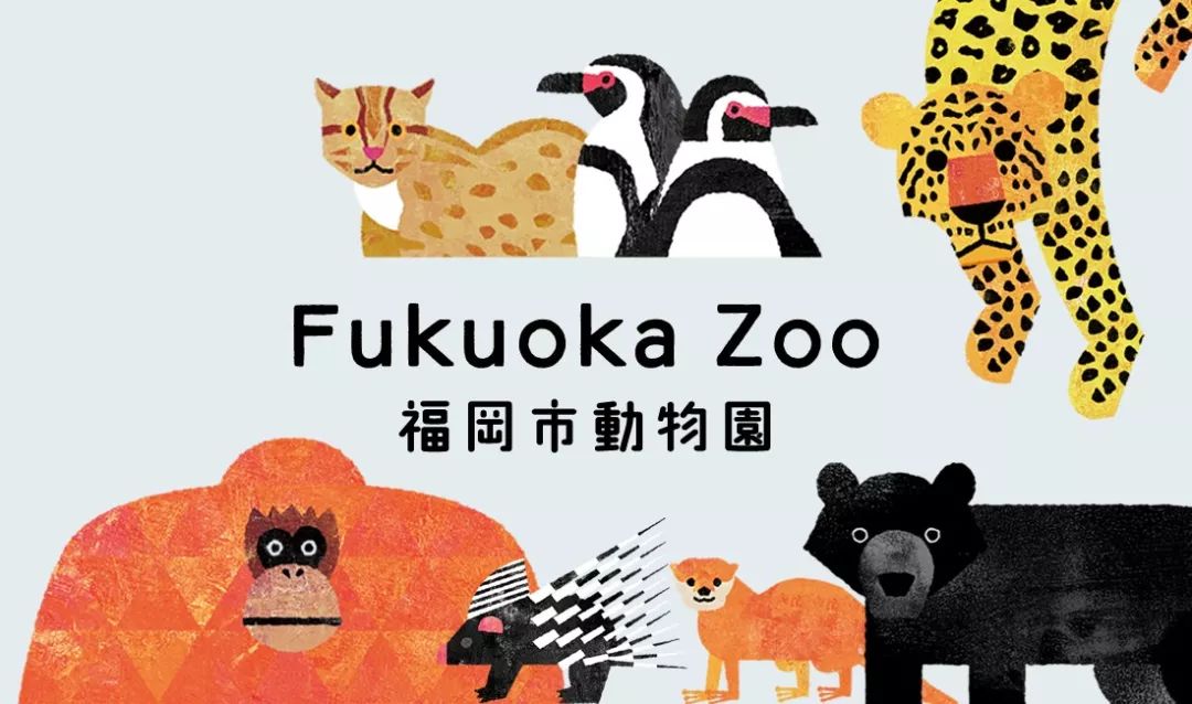 福冈的真实生活,福冈生活常识