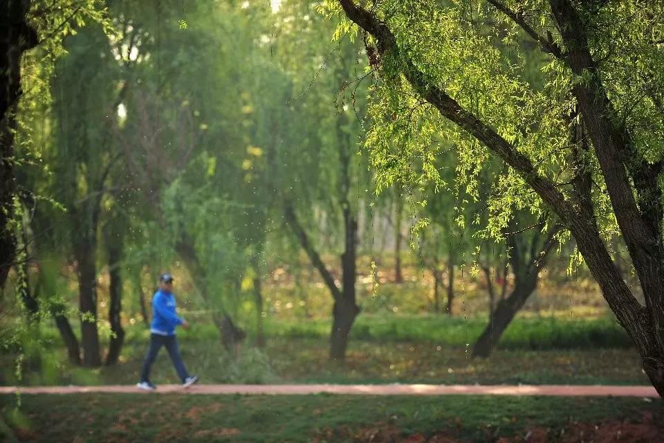 开远是哪个地方,开远市离边境多远