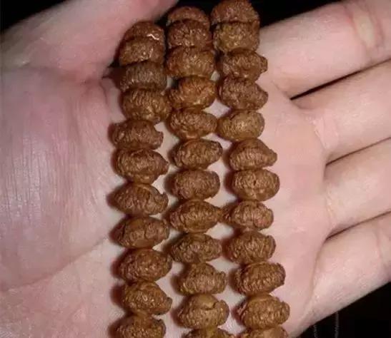 菩提108颗手串极品照片,千眼菩提手串变色图解