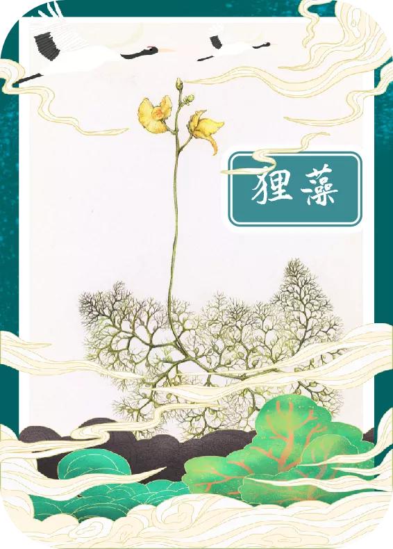 「手绘湖州」小满节气，一起揭开湖州古称“菰城”背后的玄机
