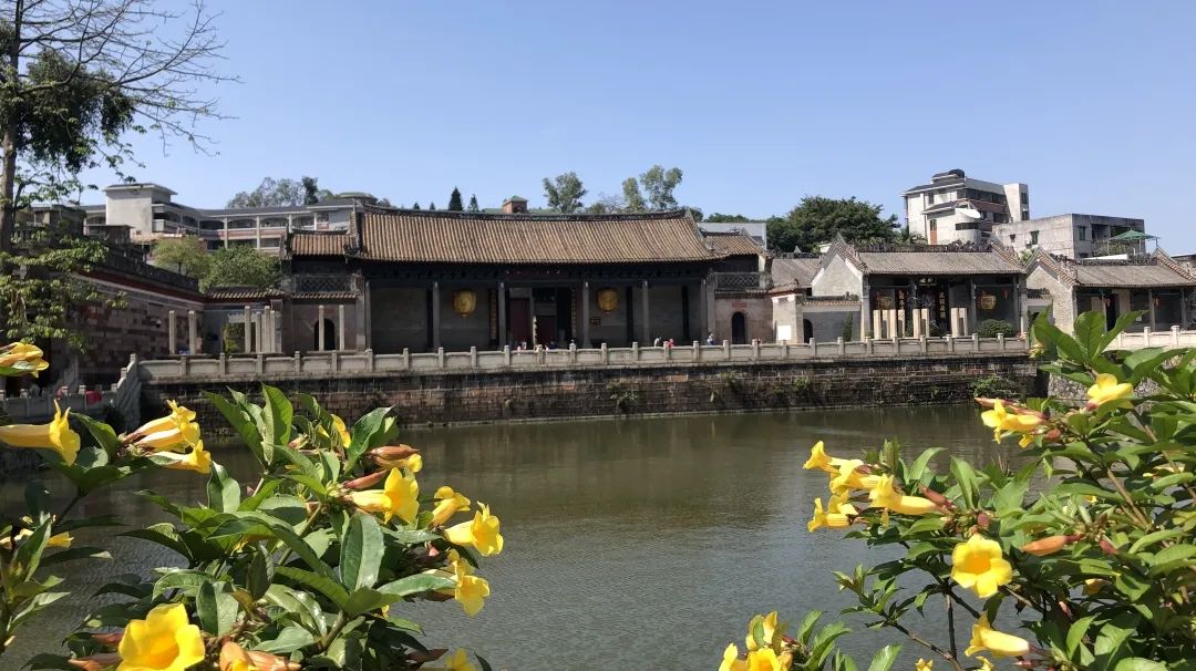 广州凉爽又好玩公园在哪里,夏季广州公园游玩攻略