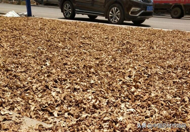 云南昆明中药材交易市场行情报价,云南中药材市场有哪些