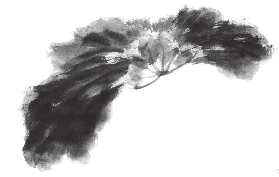 国画刘存惠荷花画法全视频,国画山水画教学视频荷花画法