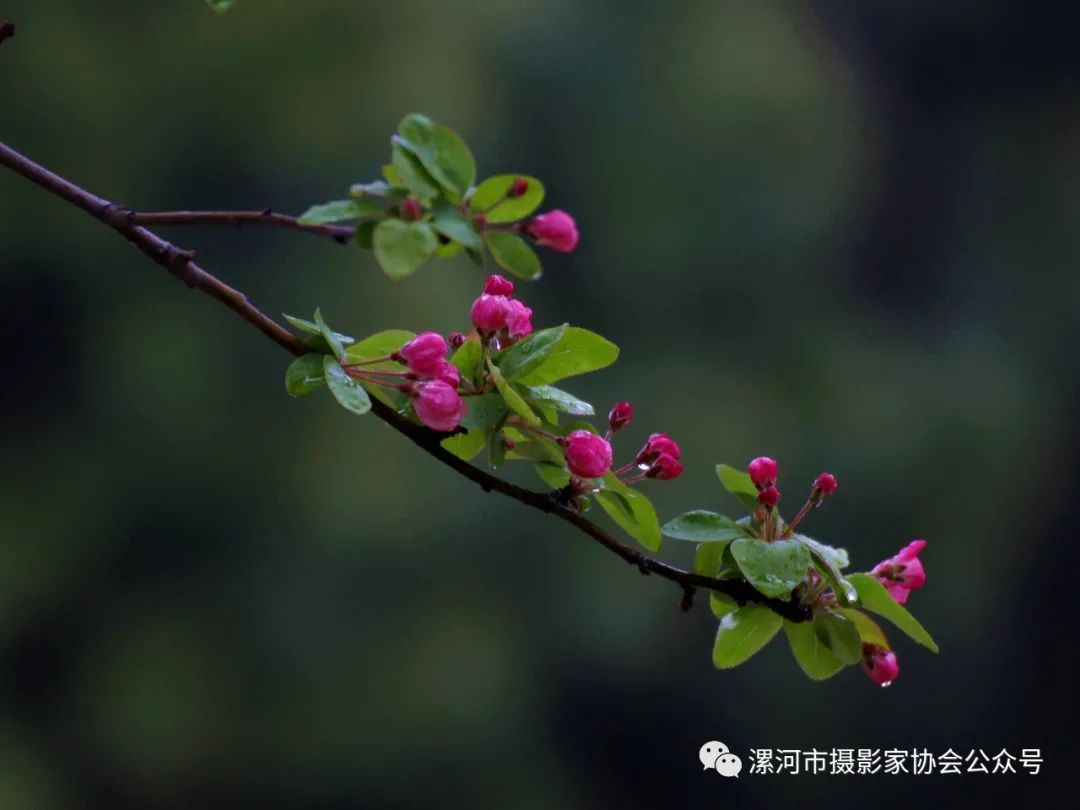 抗击新冠疫情专题展,抗击疫情专题展开展