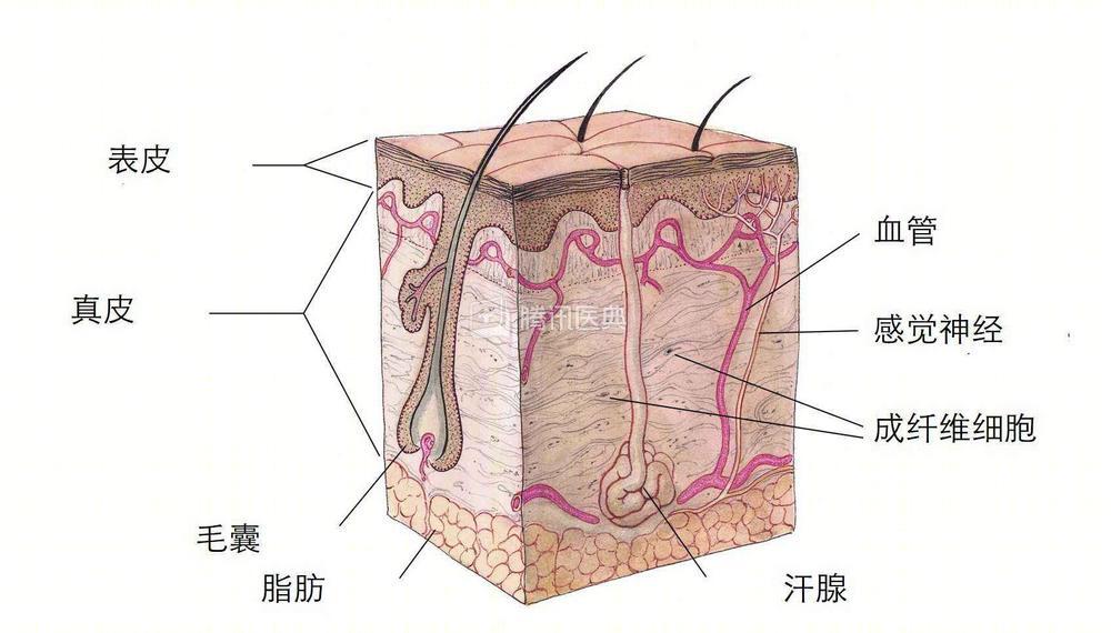 27岁男生脚臭,25岁帅哥脚臭怎么办