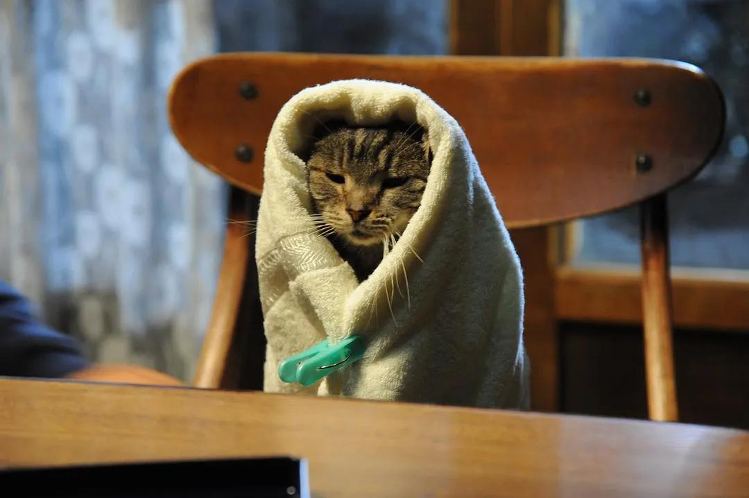 “一个人的除夕跟平常的晚上差不多”