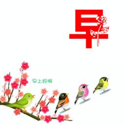 早上好的问候语唯美图片带鲜花,超美的早上好图片问候语图文