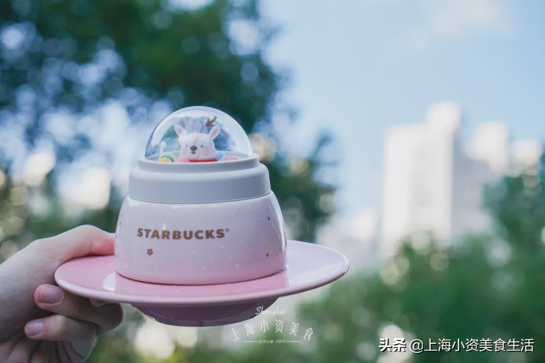 星巴克刺猬冷萃保温杯,星巴克保温杯小刺猬