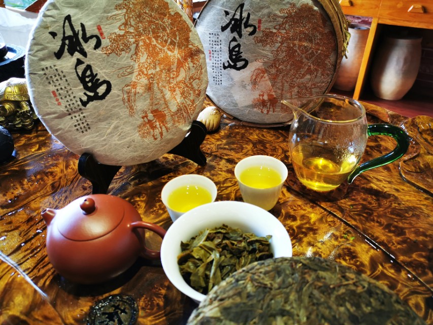 普洱茶基础知识大全,普洱茶知识大全普洱生茶