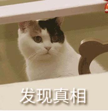 在重庆小面馆当了12小时的“丘二”后，告诉你月入数万的真相