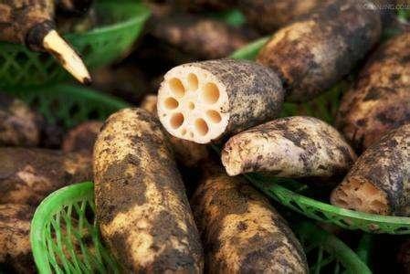 买藕挑选,买莲藕怎么选最好