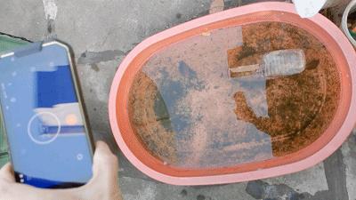 手机掉水里当场拿起来,手机掉入水中还可以正常使用