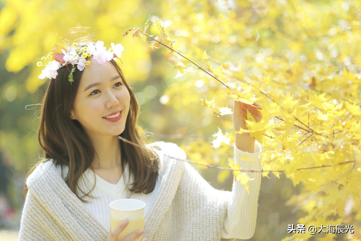 我想有个院子,我想拥有一个小院子