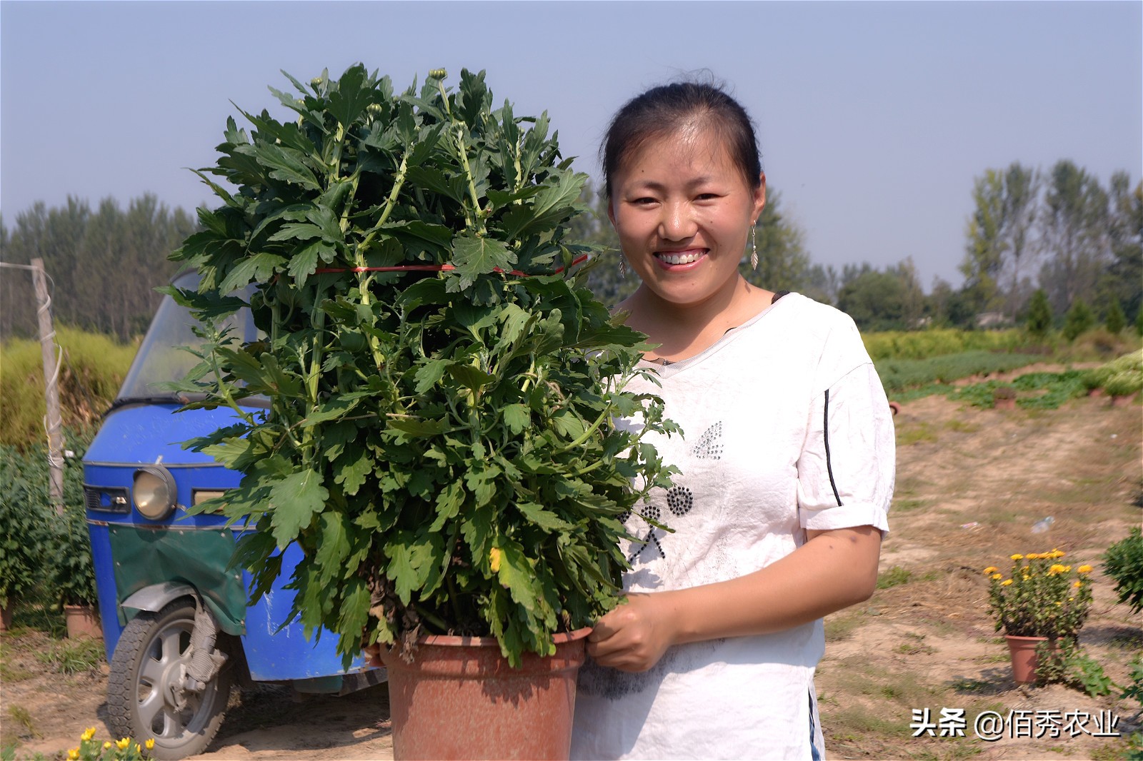 农村4个未来5年吃香的行业,未来三年农村有4个致富行业