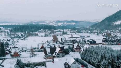 治安最好的欧洲国家,欧洲哪些国家治安好