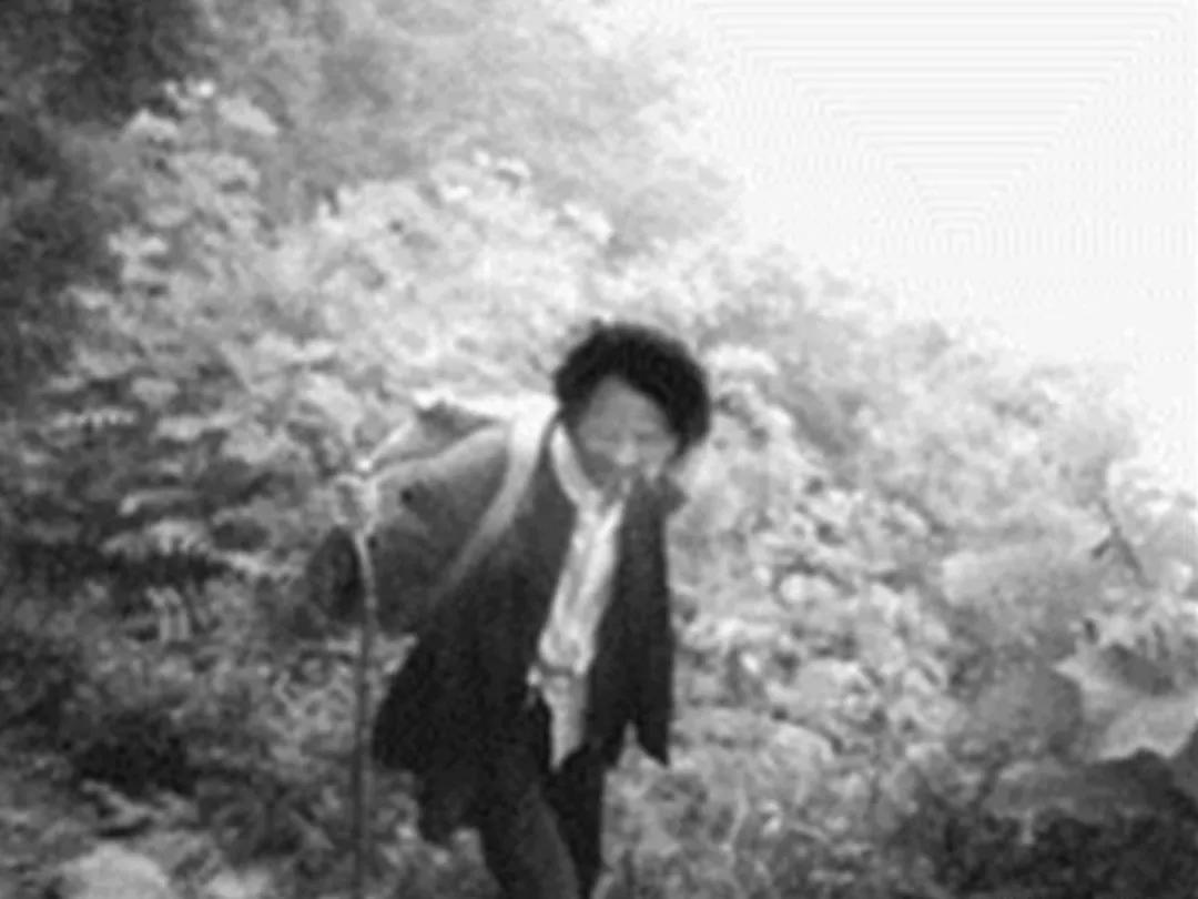 被打的老教授，吃饱的中国人