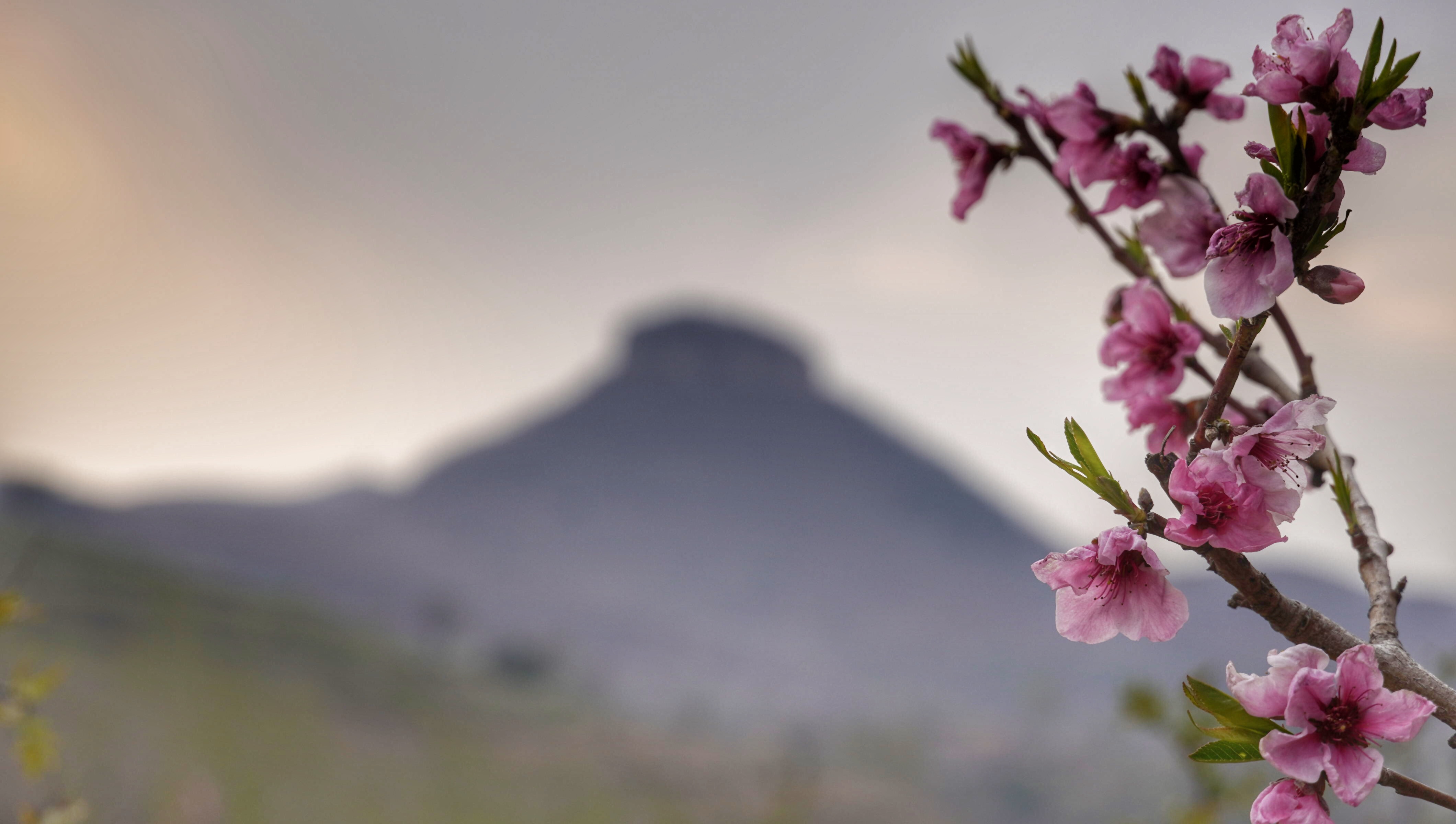 岱崮地貌只有沂蒙山区有吗,沂蒙山世界地质公园岱崮园区