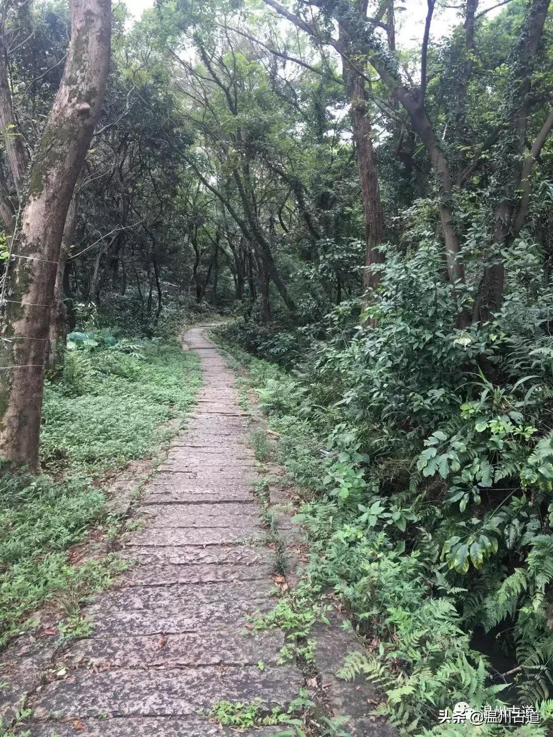 状元古镇地名传奇