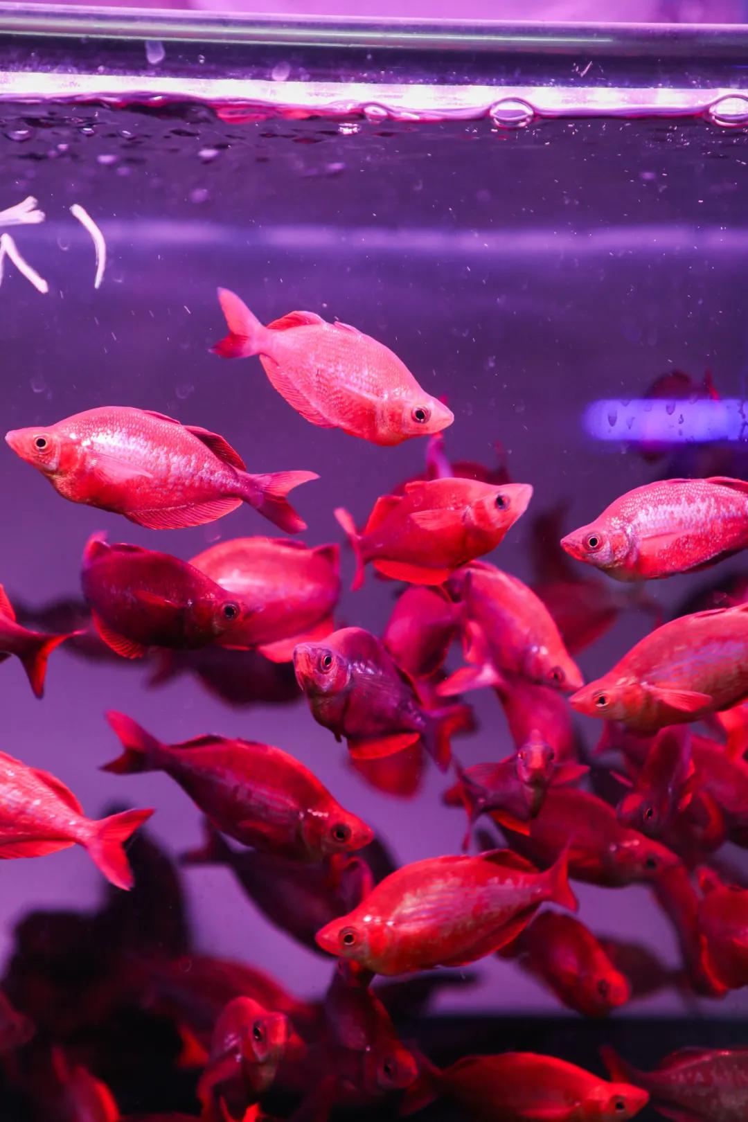 天津最便宜的批发市场在哪里,天津最大的批发市场一览表