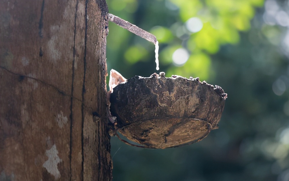 一样的乳胶枕软硬不一样咋回事,100%天然乳胶枕推荐