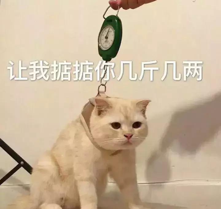 翟天临的论文作假事件是否属实,北大学霸翟天临