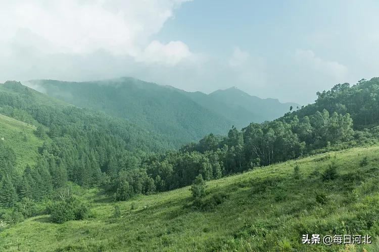 疫情后石家庄人最想说的一句话,疫情后的石家庄会有政策吗